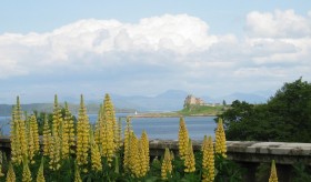 Visit Duart castle.